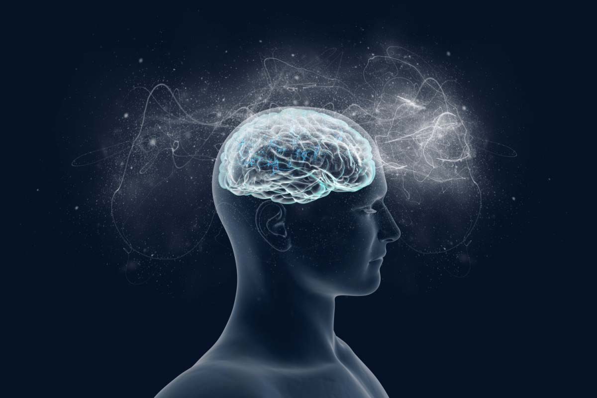 iferenças entre cérebro e mente