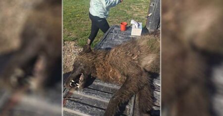 O misterioso e estranho “lobisomem” de Montana