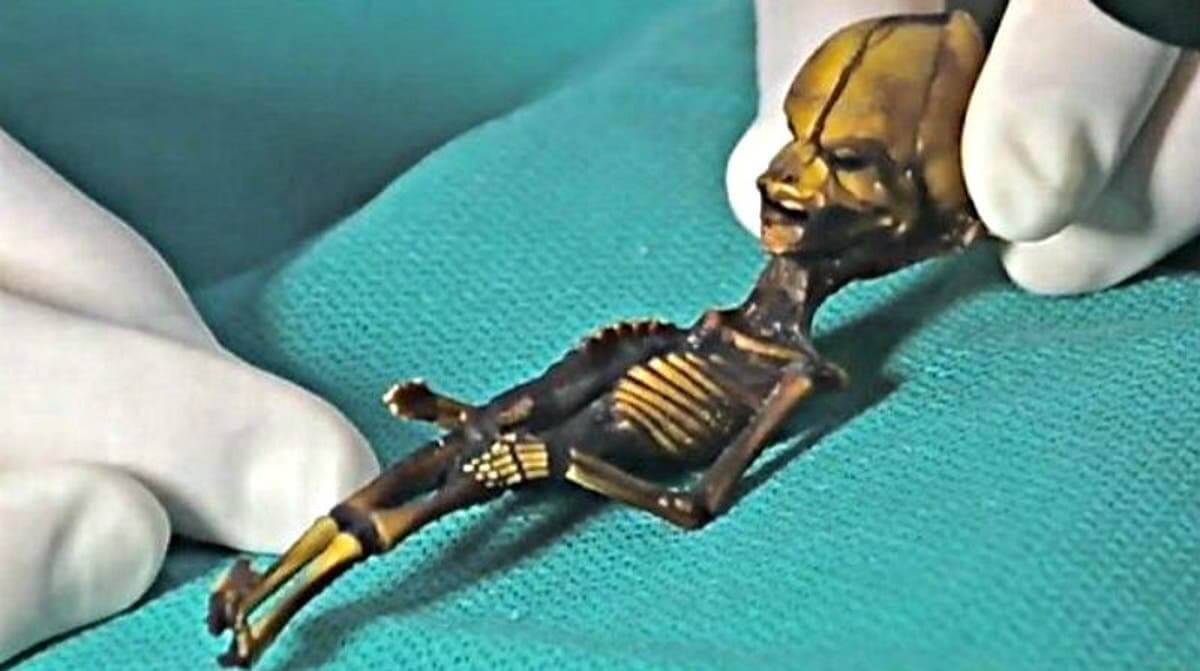 O pequeno alienígena de 18 cm foi achado no Chile.
