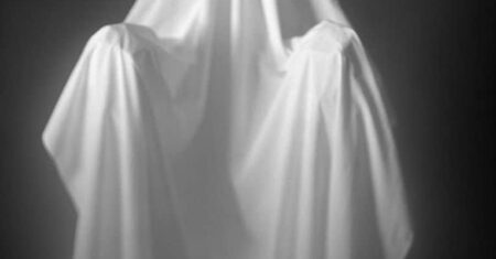 A Questão Curiosa da Taxonomia Fantasma