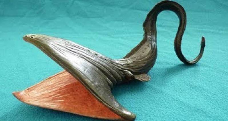 Uma criatura misteriosa chamou sua atenção no quadro de sua câmera