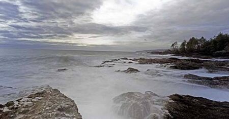 Um novo pé mutilado aparece na costa do Canadá, e já existem 15 desde 2007