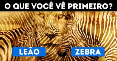 Qual primeira imagem que você vê: Zebra ou Leão?