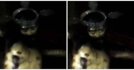 O Mistério da Estatua de Jesus Abre e Fecha os Olhos…