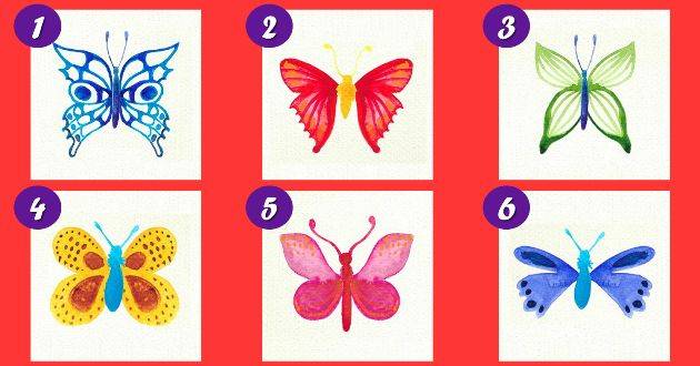 Escolha sua borboleta favorita e descubra seu significado