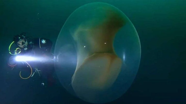 Mergulhadores noruegueses descobrem uma esfera