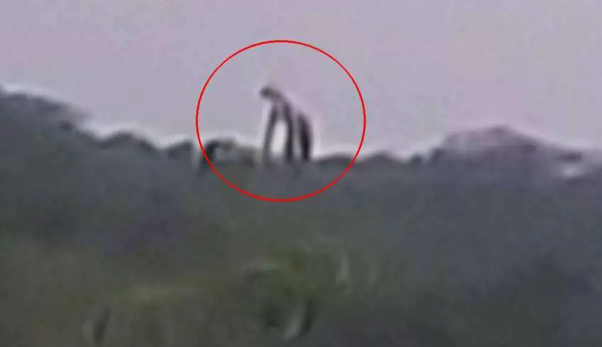 FOTOGRAFAM UMA CRIATURA GIGANTESCA E MISTERIOSA EM UMA MONTANHA NO MÉXICO