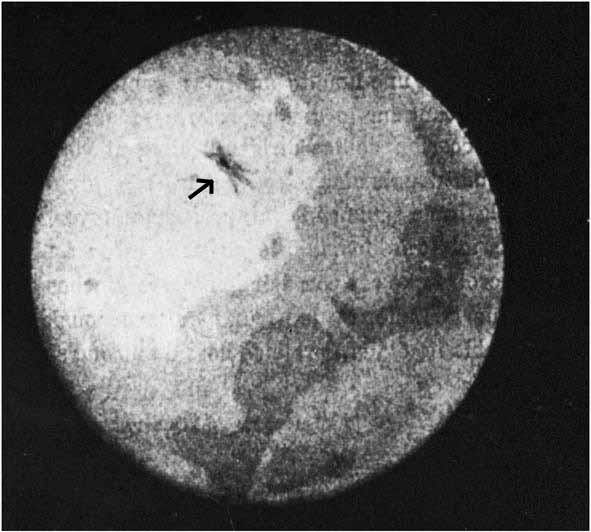 Um cometa maciço quase destruiu a humanidade em 1883