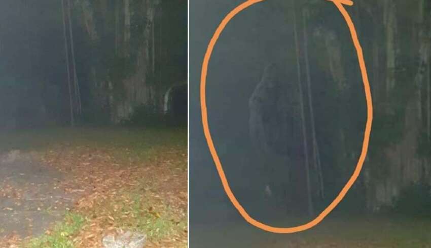 Criatura lendária 'Homem Macaco' fotografada em Cingapura