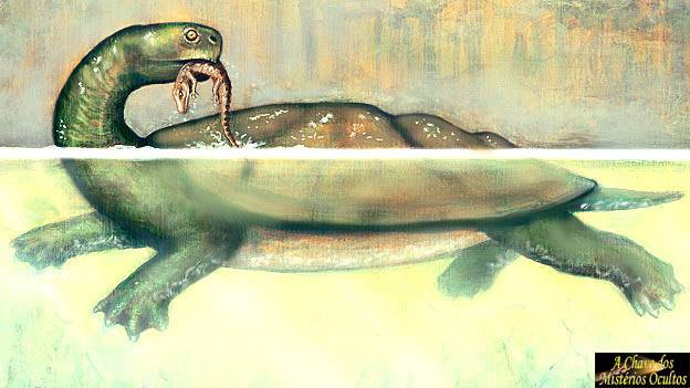 Será que o monstro do Lago Ness é na verdade uma antiga tartaruga marinha?