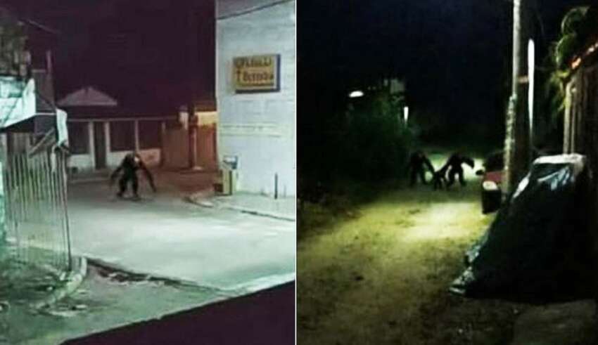 Imagens mostram criaturas aterrorizantes vagando pelas ruas à noite no Brasil