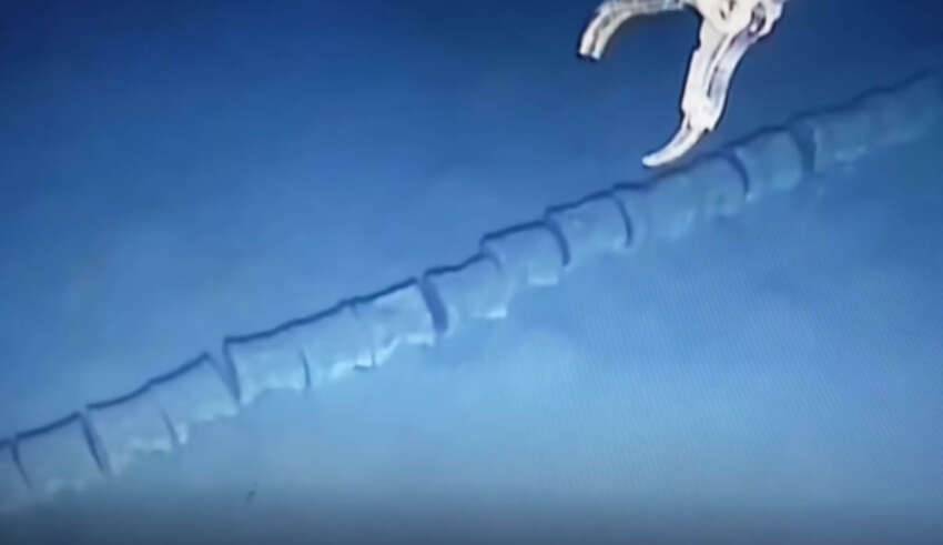 Descobriram um misterioso esqueleto gigante criatura desconhecida no fundo do oceano.