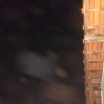 Misteriosos Orbes de Luz” aparecem no céu do Mato Grosso