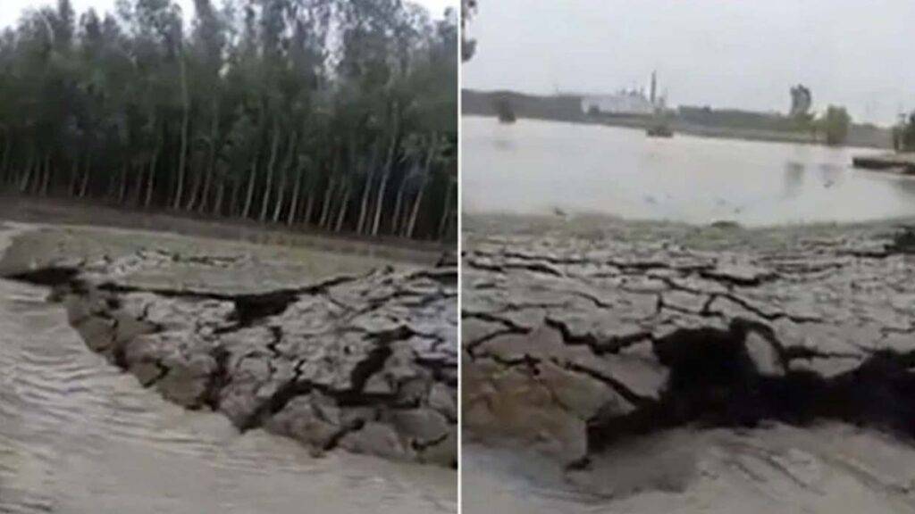 Um vídeo mostra como a terra está crescendo sozinha na Índia.