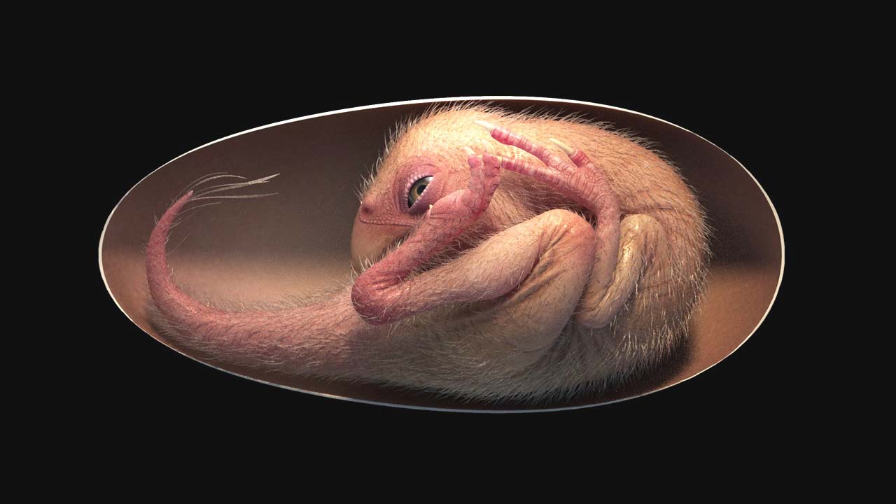 ELES DESCOBREM UM EMBRIÃO DE DINOSSAURO QUE PARECE QUE MORREU ONTEM