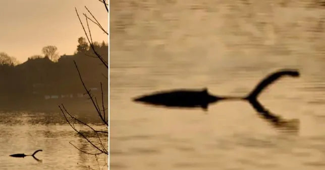 Um homem fotografa um mostro semelhante ao “Nessie” em um lago na Inglaterra