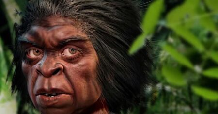 Antropóloga garante que os ‘Hobbits’ ainda existem em uma ilha remota