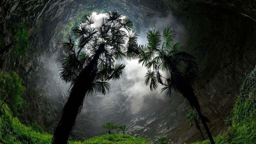 Cientistas chineses descobrem um novo mundo com criaturas nunca vistas antes