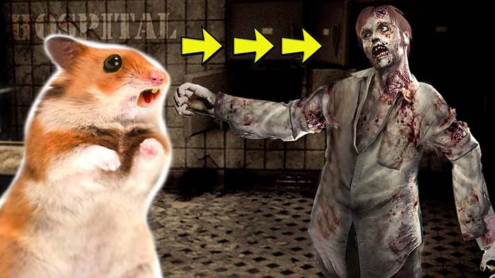 Cientistas criam acidentalmente hamsters zumbis..