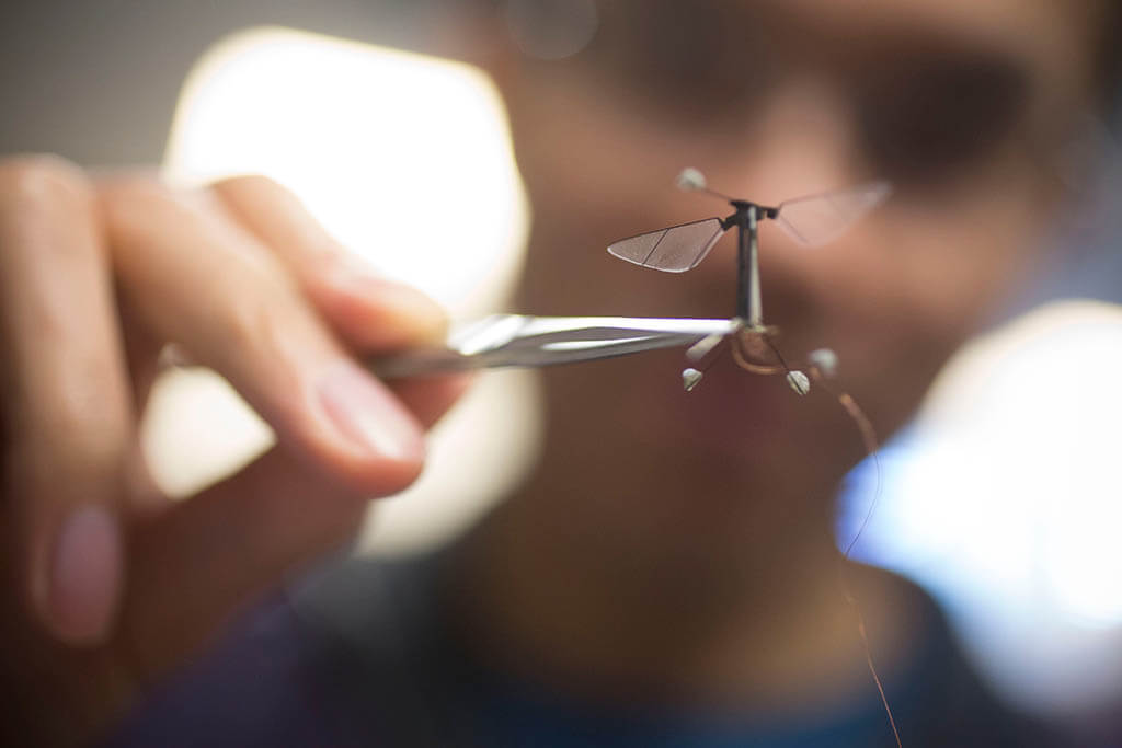 O RoboBee