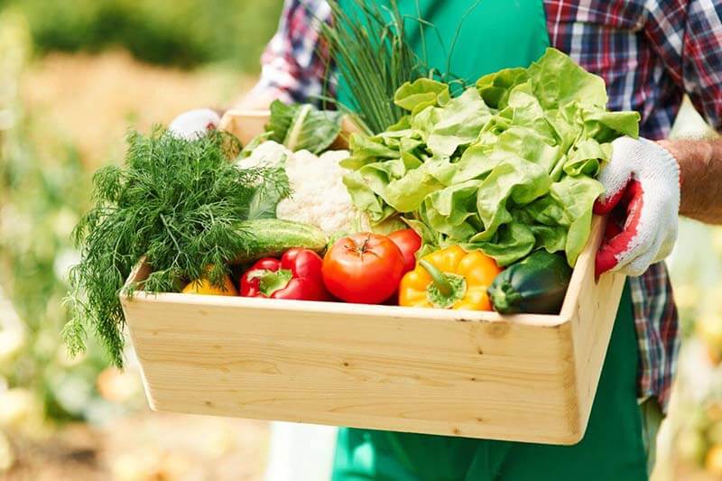 Alimentos orgânicos