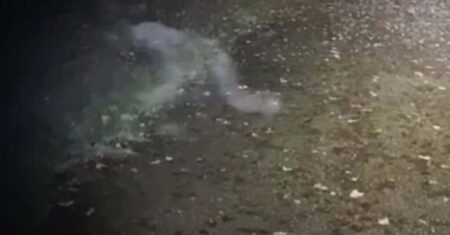 Uma mulher registra uma presença demoníaca em uma floresta na Inglaterra