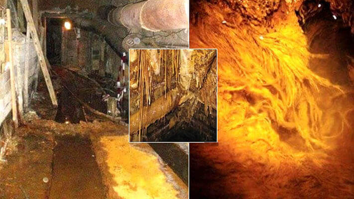 Estranho ecossistema alienígena encontrado em mina de urânio abandonada.