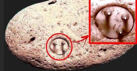 Enigmalito: Um componente elétrico foi encontrado embutido em uma rocha de 100.000 anos?