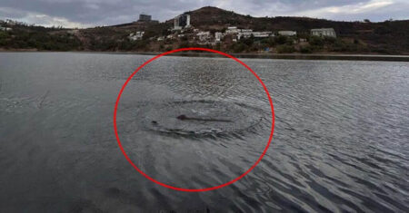 A polícia investiga o aparecimento de um monstro parecido com Nessie em uma barragem mexicana