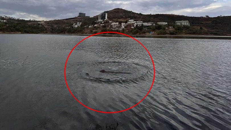 Polícia investiga aparição de monstro parecido com Nessie em represa mexicana