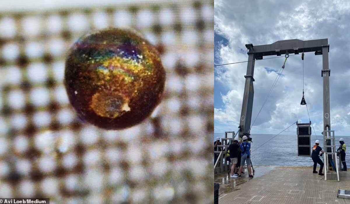 Loeb e seus pesquisadores trabalharam por duas semanas em um navio, analisando o que haviam retirado do Oceano Pacífico
