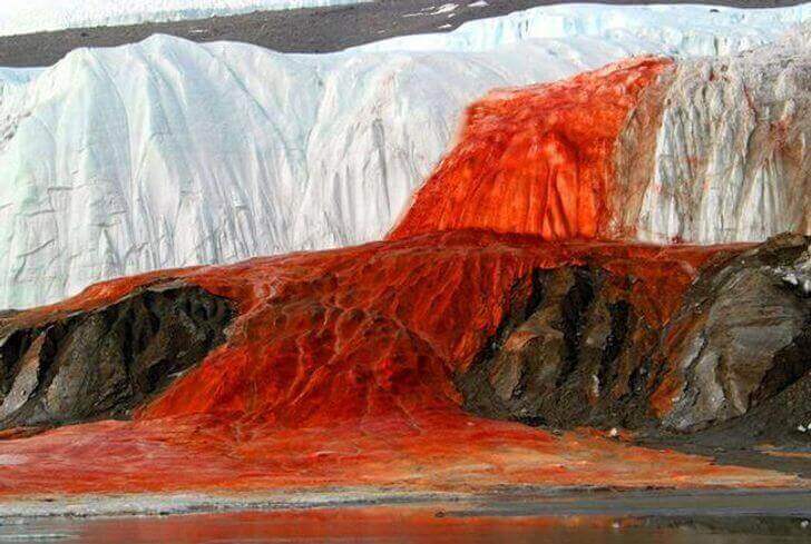 Uma cascata vermelha corre da Geleira Taylor até o Lago Bonney, parecendo uma jato de sangue saindo do gelo.