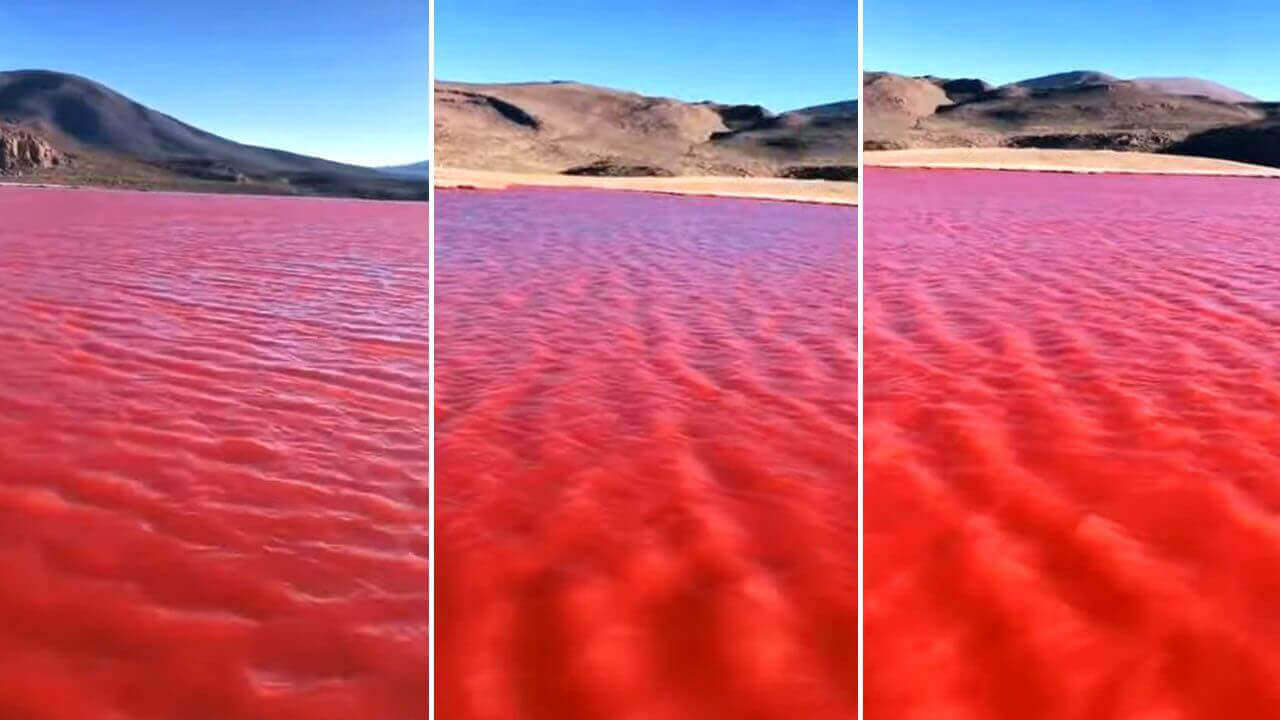 RIO NILO FICA VERMELHO E MUITOS TEMEM O CUMPRIMENTO DE UMA PROFECIA