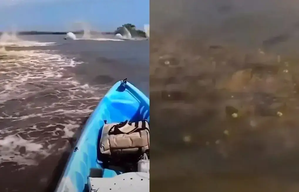 Criaturas misteriosas cercaram o barco de um caiaque navegando na Amazônia.
