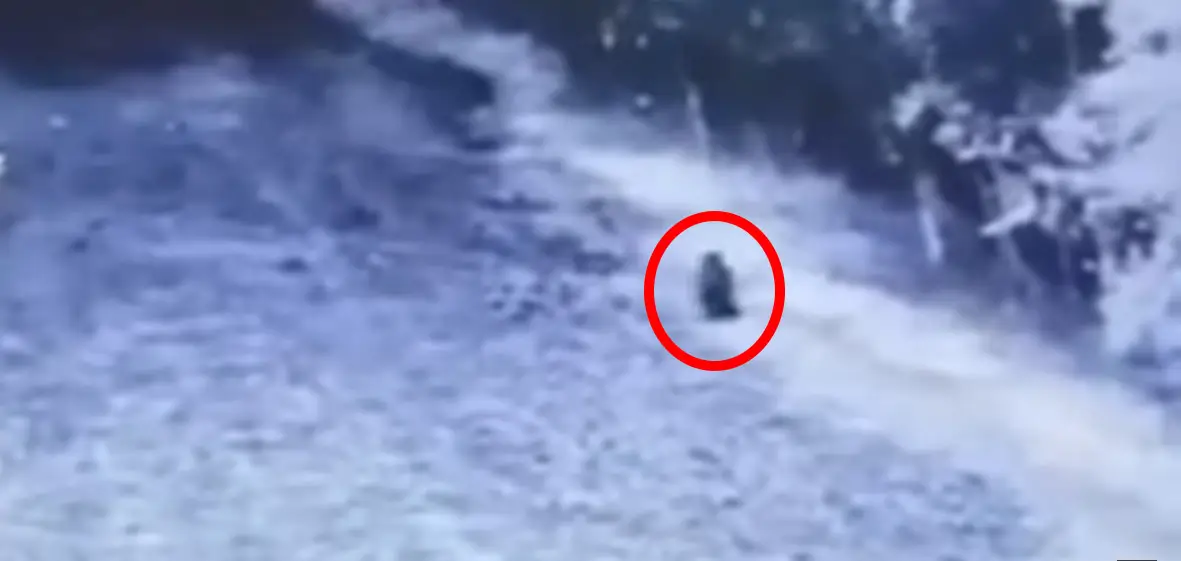 Câmera de segurança capturou uma criatura parecida com um duende